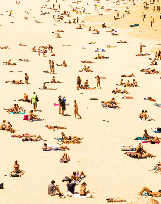 Beach Day