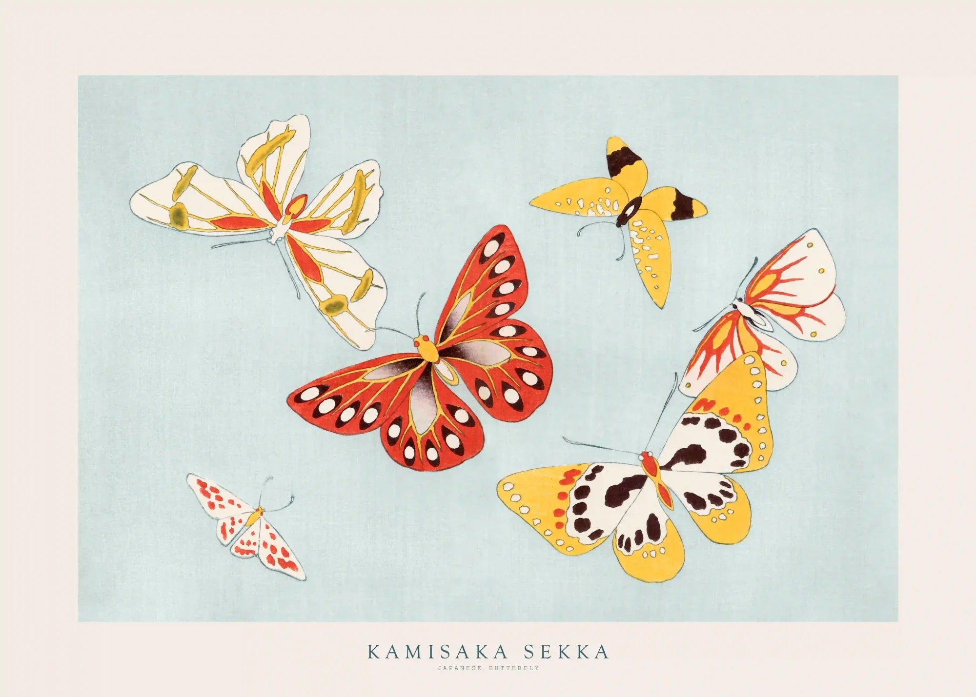 oldsea MIYABI × antique butterfly MIYABI × antique butterfly – oldsea