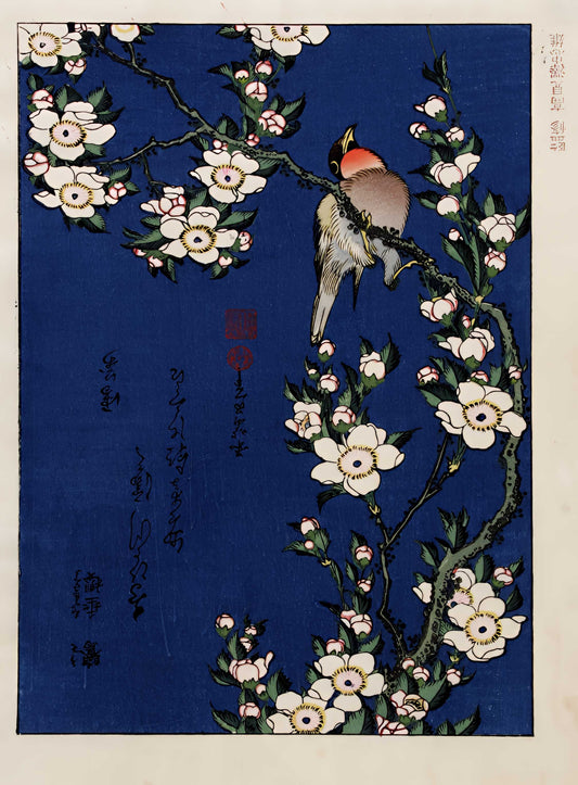 Robin on a branch of Cherry Blossom' by Katsushika Hokusai