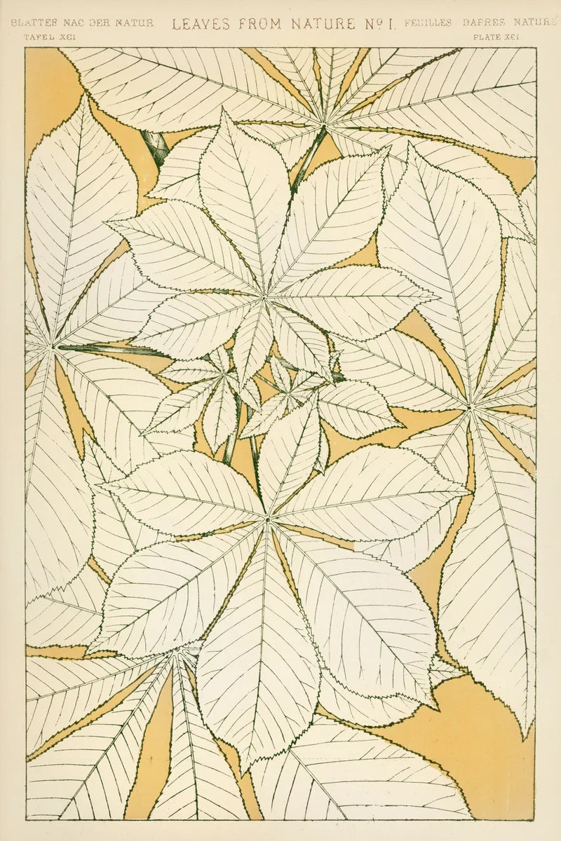 Leaves from Nature